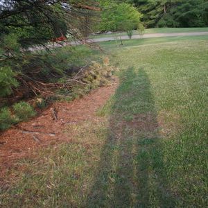 Meet your Posher, Nellie